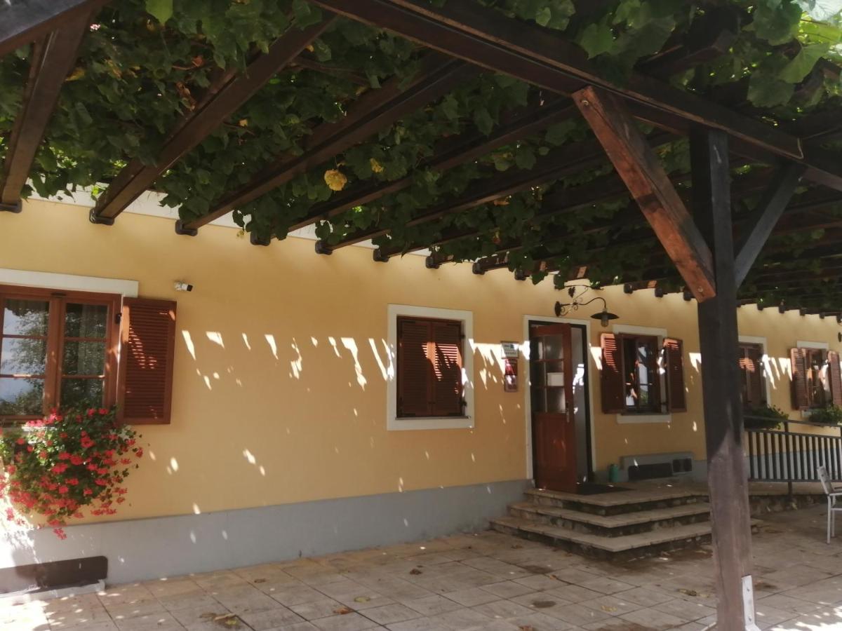 Apartmaji Svetinje Ivanjkovci Exterior foto