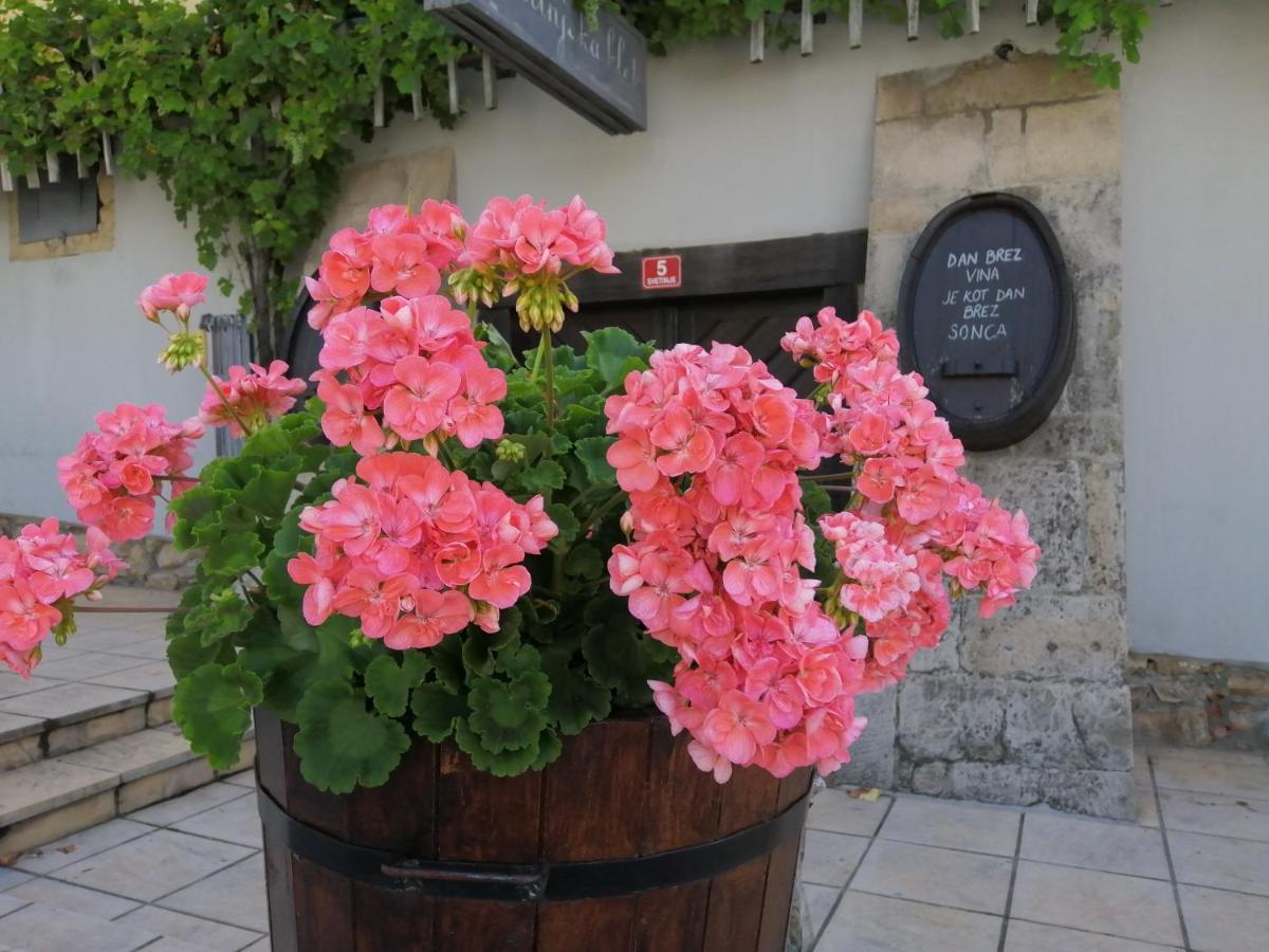 Apartmaji Svetinje Ivanjkovci Exterior foto
